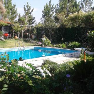 Comfortable house in Nazaré, with shared pool - Nazaré - 9
