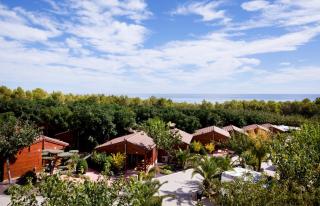 Camping Ribamar - 5