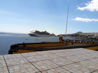 Cosy apartment in Funchal, sea and mountain views, 35 m² - Funchal - 4