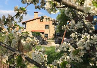 La Seguirilla del Jerte - Casas del Castañar - 5