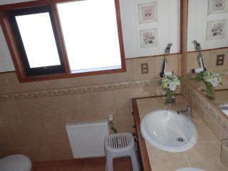 B&B HMüller - Pucón - 4