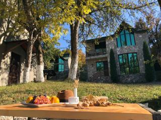 Dilijan Villa 12 - Dilijan - 9