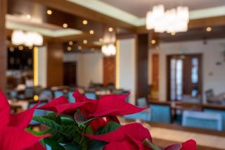 Hotel Buchenland - Gura Humorului - 2