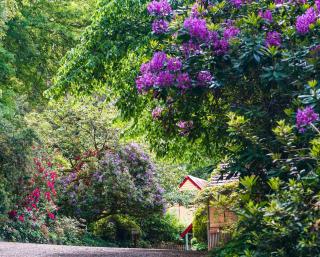 Arnica Views Summit Retreat - Mont Dandenong - 2