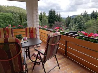 Pension Hildegund - Lauterbach - 9