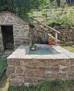 Agriturismo Al Castagno - 1