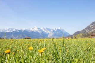 Ausblick - 7