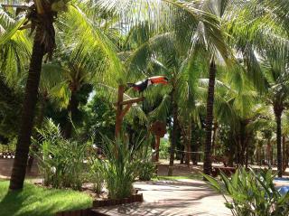 Village dos Pássaros - Belo Oriente - 5