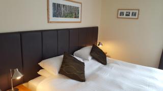 Geckos Rest - Newquay - 4