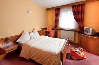 Spa Hôtel Restaurant Au Lion d'Or - 5