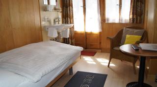 Hotel Alpina - 8