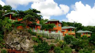 Pimento Lodge Resort - Port Antonio - 6
