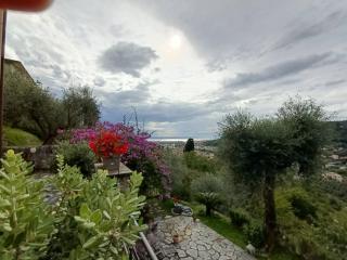 la gatta sul sentiero - San Salvatore - 2