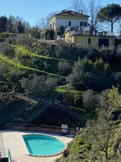 Gli Ulivi Di Montalbano - La Spezia - 3