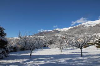 Chambres d'hôtes Les Peschiers - 6