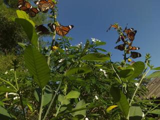 Rattana Bungalow Koh Chang - 4