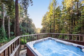 Sea Trees - Sea Ranch - 0