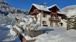 CHALET VILLA RITA - Tesero - 8