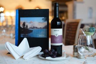 Hotel Seelos including summercard - Seefeld in Tirol - 4