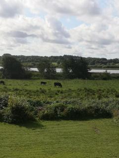 Hus med søudsigt - 9