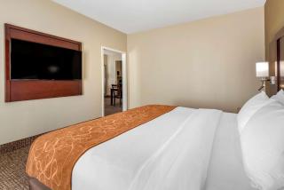 Comfort Suites Auburn near I-69 - Auburn - 4