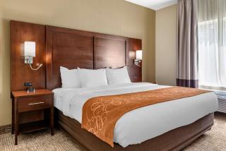 Comfort Suites Auburn near I-69 - Auburn - 5