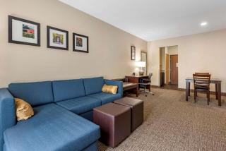 Comfort Suites Auburn near I-69 - Auburn - 3