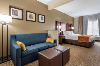 Comfort Suites Auburn near I-69 - Auburn - 1