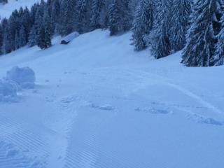 Haus am Weißenbach - 1