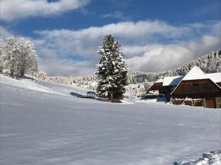 Wohlfühl-Pension Kreischberg by Martina - 7