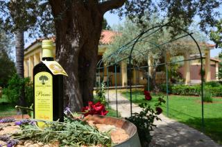 Exlusive Pool Villa - Cascina Relais - 2