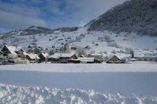 Wies - Stein - 6