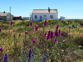 Charming original fishermans cottage on Dungeness beach - Dungeness - 5