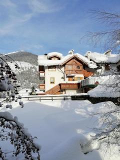 Casa Bamby - Cogolo - 8