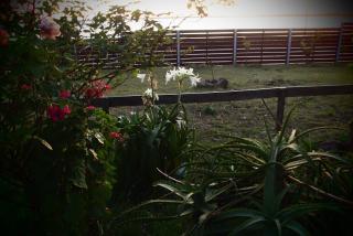 Hotel Buena Vista Se reserva solo con seña - 6