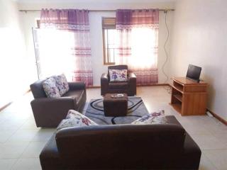 Go around Kampala all day to return to your wonderful apartment - Kampala - 0