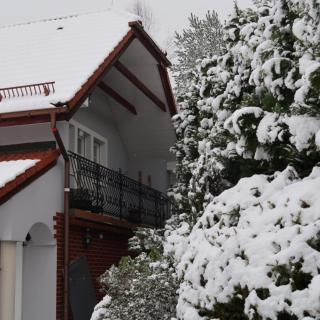 Domek i Apartamenty Zacisze - 9