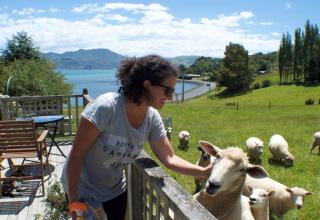 Roselle Farm Cottage - Portobello - 5