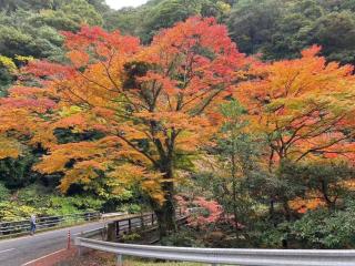 Hoshi no Sato - Kirishima - 8