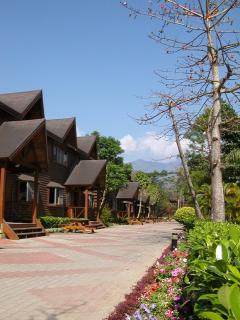 Master Bear Resort - Jiafeng - 0