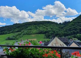 Ferienweingut Stein - 8