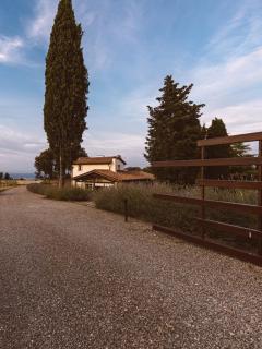 Borgo Le Colline Luxury Agriturismo in Tuscany - Gambassi Terme - 8