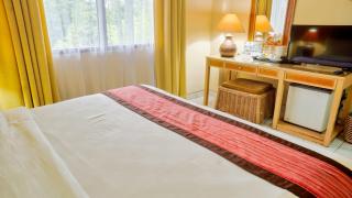 The Jayakarta Yogyakarta Hotel & Spa - 5