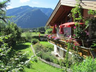 Gartenwohnung Robinigg - Maishofen - 7