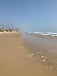 Sea Dancer #9 - South Padre Island - 9
