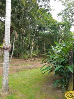 Casa Alto Padrão em Ubatuba em Condomínio - Ubatuba - 3