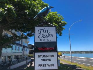 Tui Oaks Motel - Taupo - 0