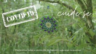 Casa Bacarirá - Floresta com Yoga e Café da Manhã Vegano - 9