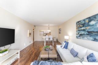 Luxury Miami Condos - 4