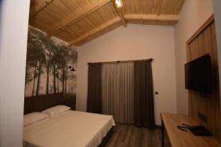 KORU BUTİK OTEL - Artvin - 2